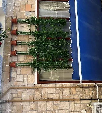 5* Lahcene Αλικάντε